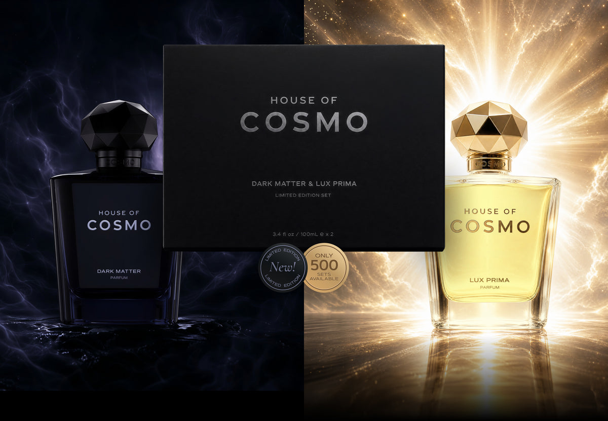 DARK MATTER & LUX PRIMA