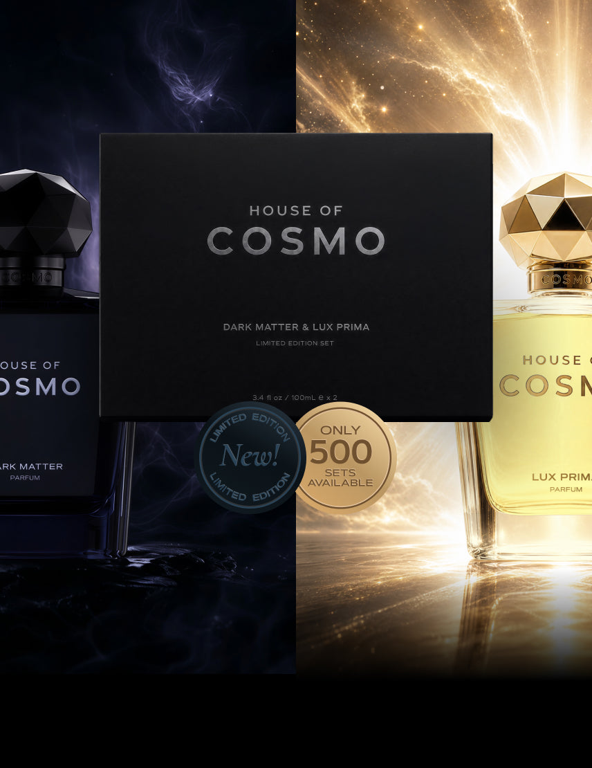 DARK MATTER & LUX PRIMA